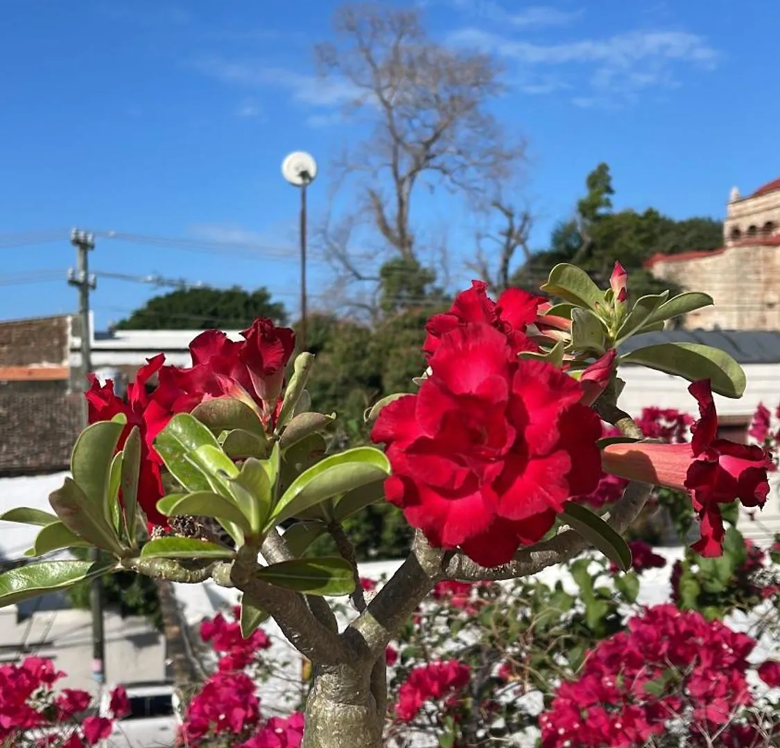 Ubytování v soukromí Apartmán Centrico Ciudad Colonial Santo Domingo